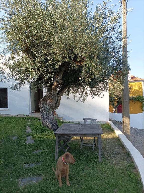 Imagem de Casa da Maria Raposa