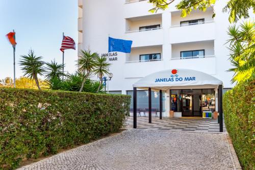 Imagem de Correeira - Lote 8