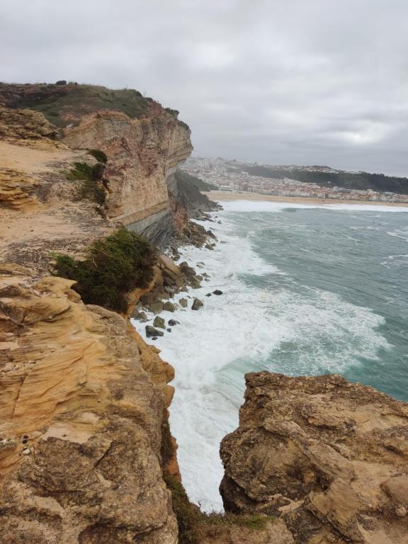 MANEL MAR