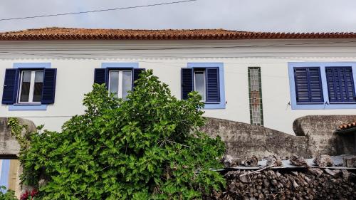 Imagem de CASA CISKA