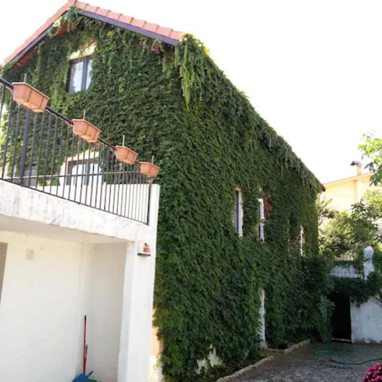 Imagem de Casa Agrícola do Limonete
