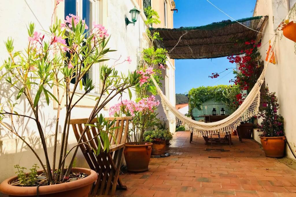 Imagem de Cattleya House