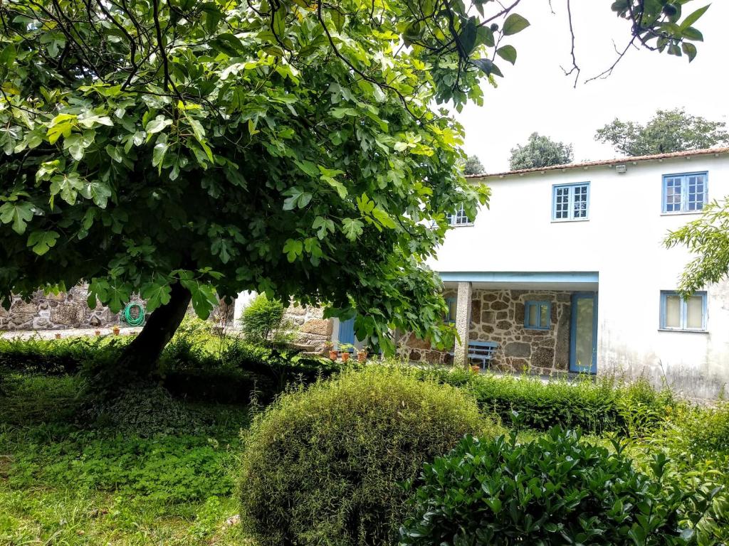CASA ANA MONTEIRO