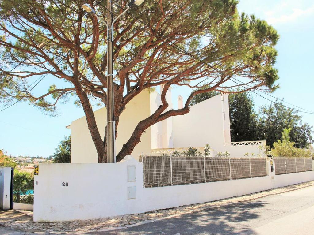 Imagem de Casa Pinheiros - Carvoeiro