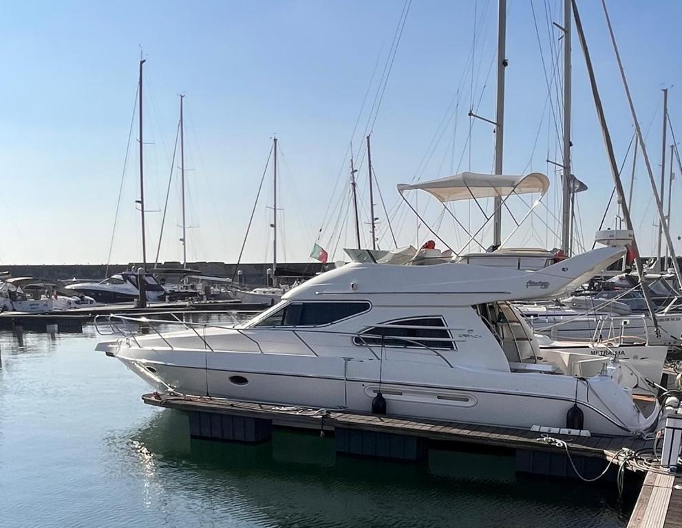 Imagem de Payva & Branco Boats Iate privado em Cascais