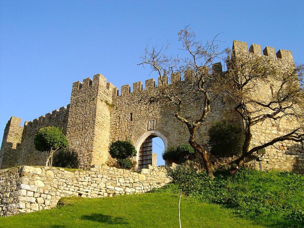 Imagem de Rosa Pombal