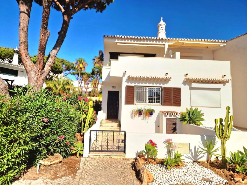 Imagem de Seaside Sunflower