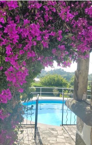 Imagem de QUINTA DOS CARVALHOS