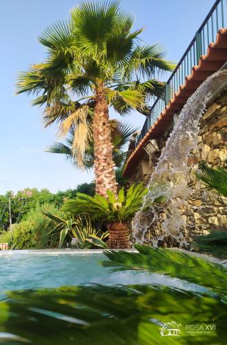 Imagem de ROSA XVI Garden Guest House
