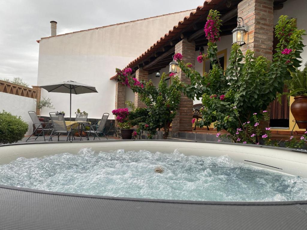 Imagem de Olive House Alqueva