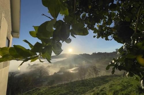 Imagem de Quinta da Luena