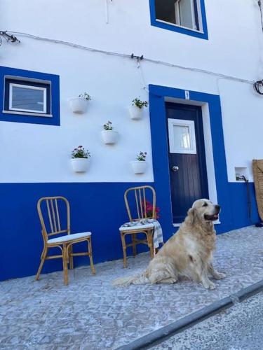 Imagem de CASA BUGANVILLA