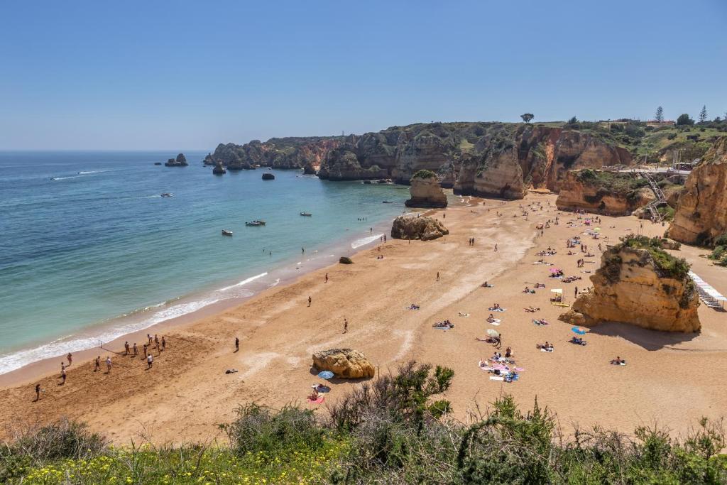Imagem de Apt. Baleia II