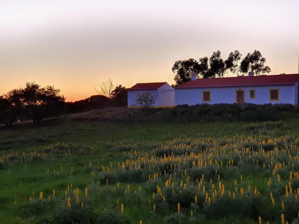 MONTES GALEGOS