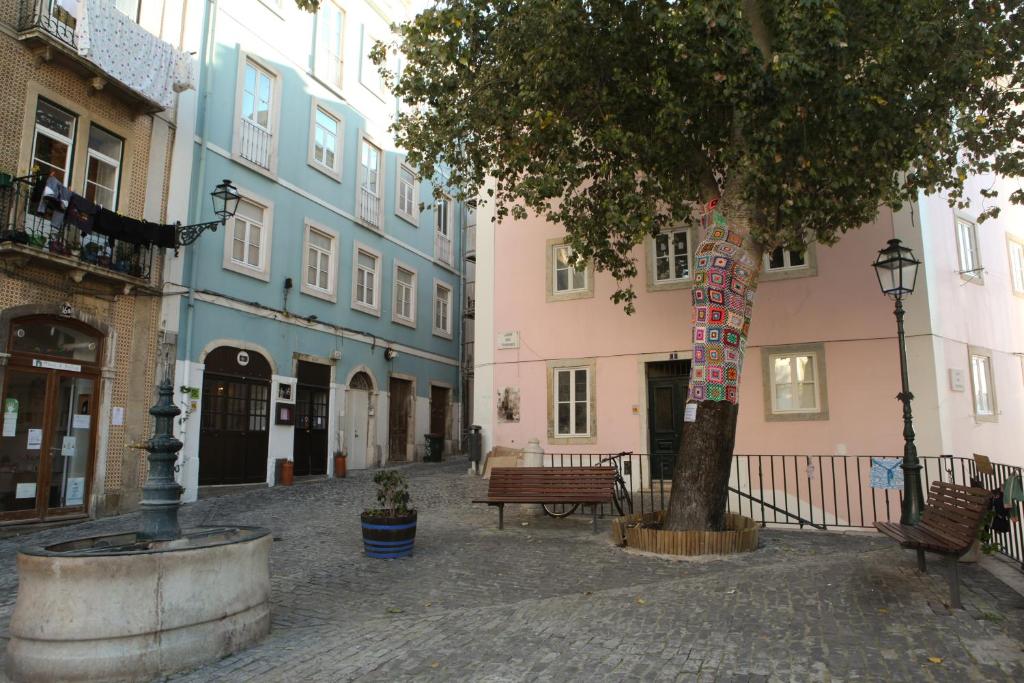 Imagem de Dreaming Lisbon - Trigueiros 5