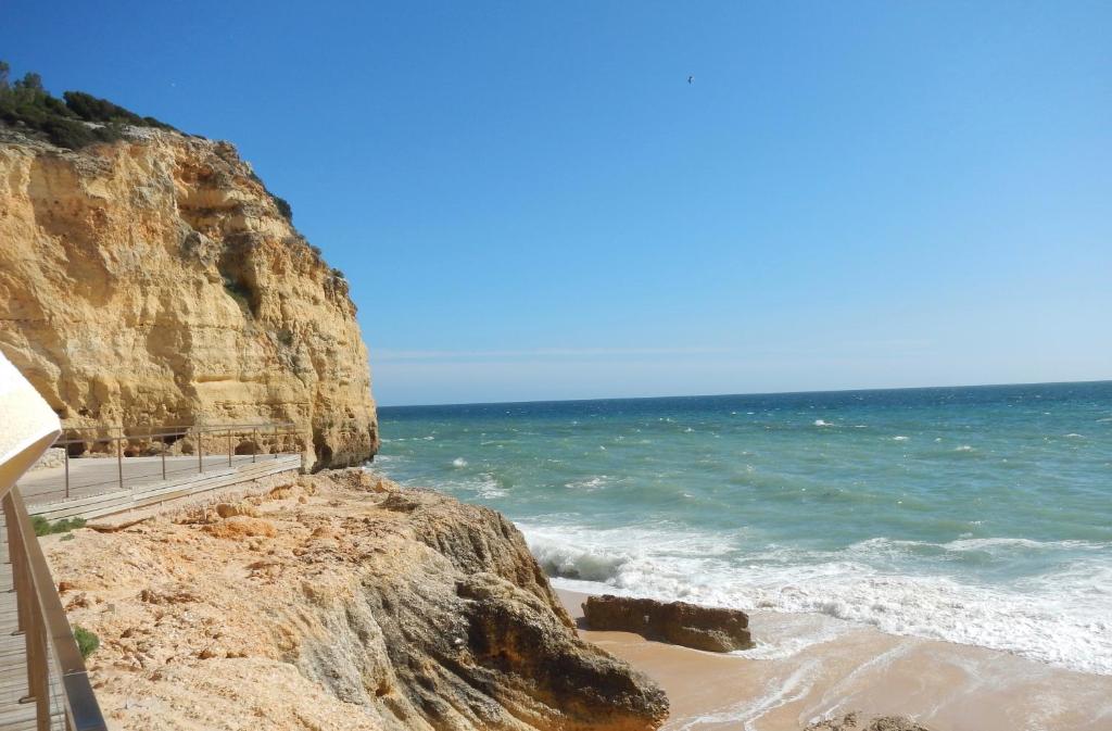 Imagem de CARVOEIRO SOL