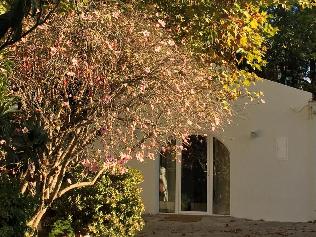 Imagem de Casa do Hibisco