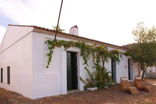 CASA DE MONTE POÇO