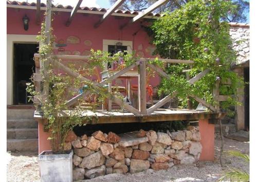 CASA DA TI GALINHA