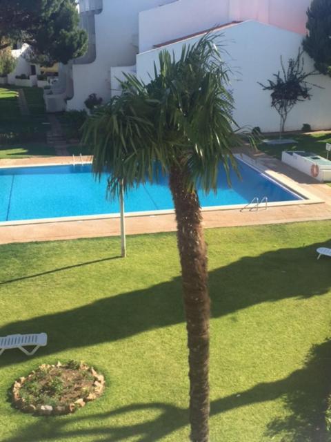 APARTAMENTO SOL