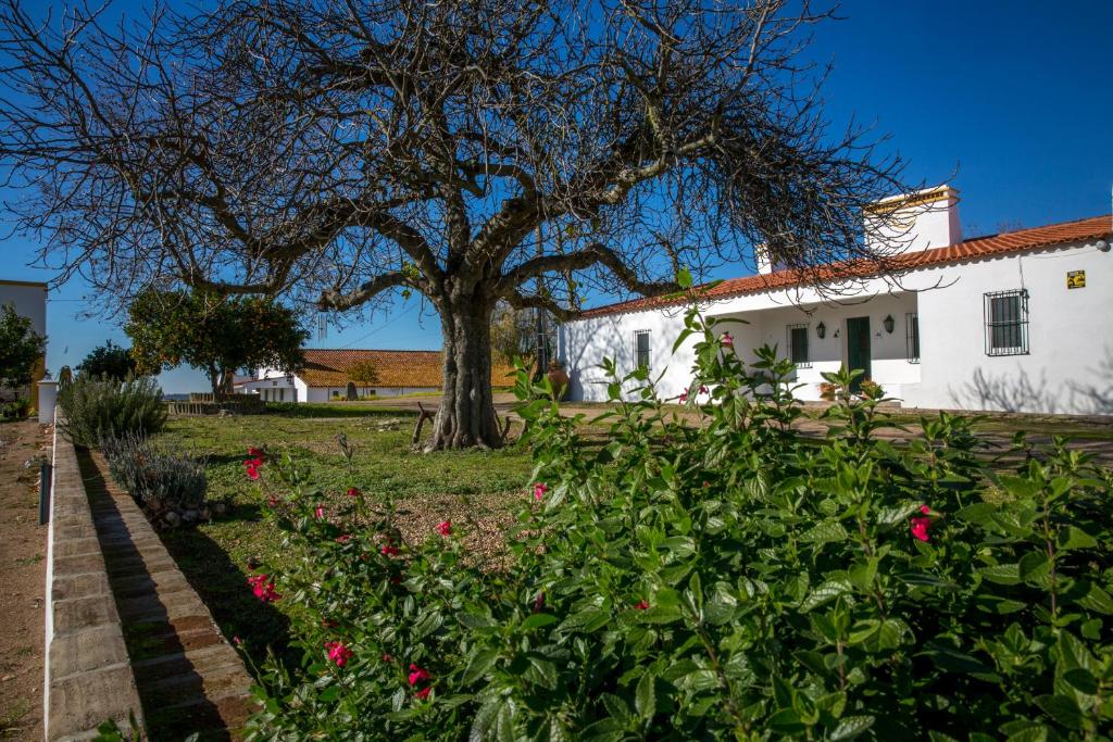 Imagem de Casa Agrícola Herdade do Poçinho