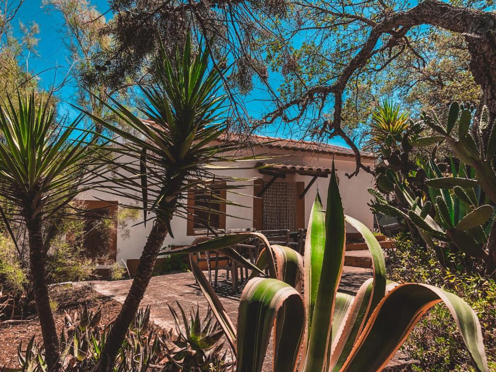 CASA DOS ANÕES