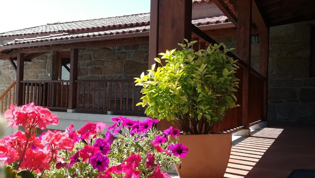 Imagem de Casas de Nossa Senhora da Graça III - Vila Berta
