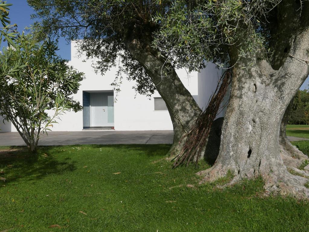Imagem de Casa do Vale da Terra Negra