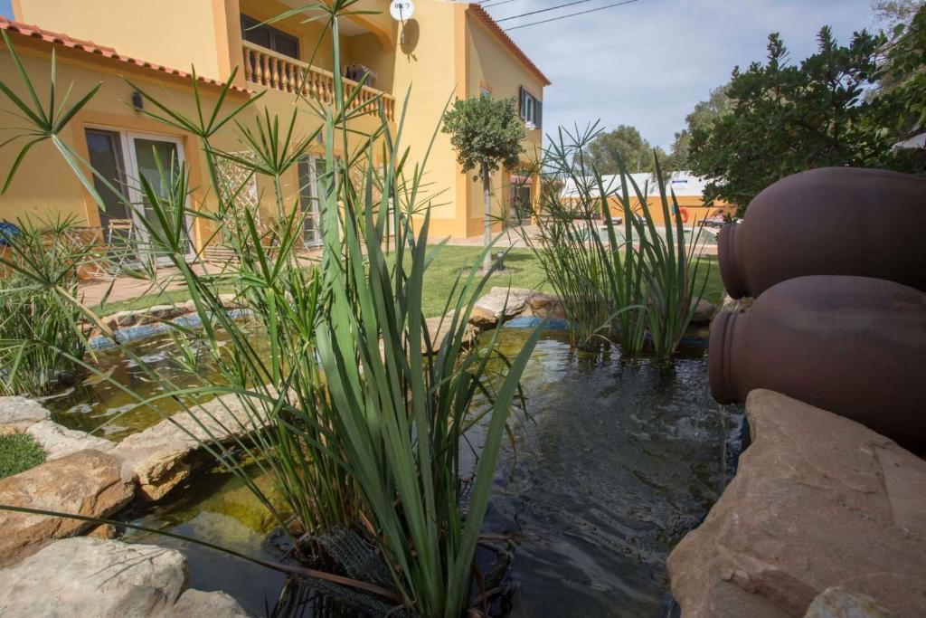 Imagem de Casa Miradouro