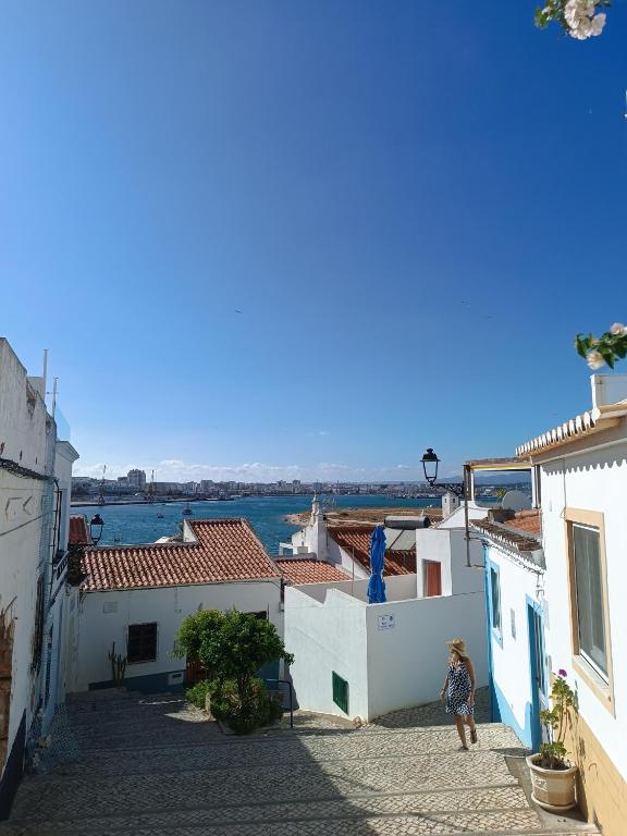 Imagem de Apartamento Muscari B
