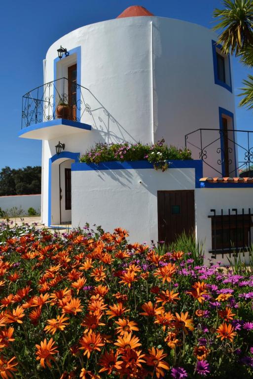 Imagem de Windmill Hill