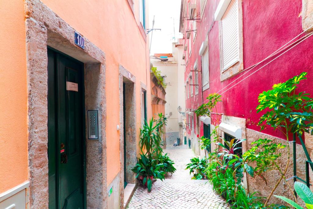 CASA ALFAMA 20