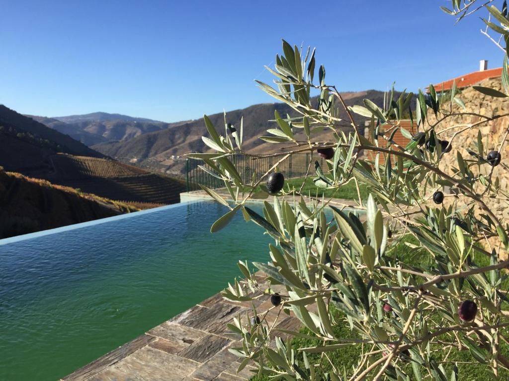 Imagem de QUINTA DA GRICHA