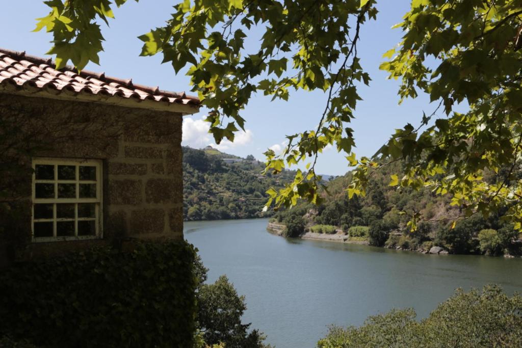 Imagem de Quinta da Figueira Velha