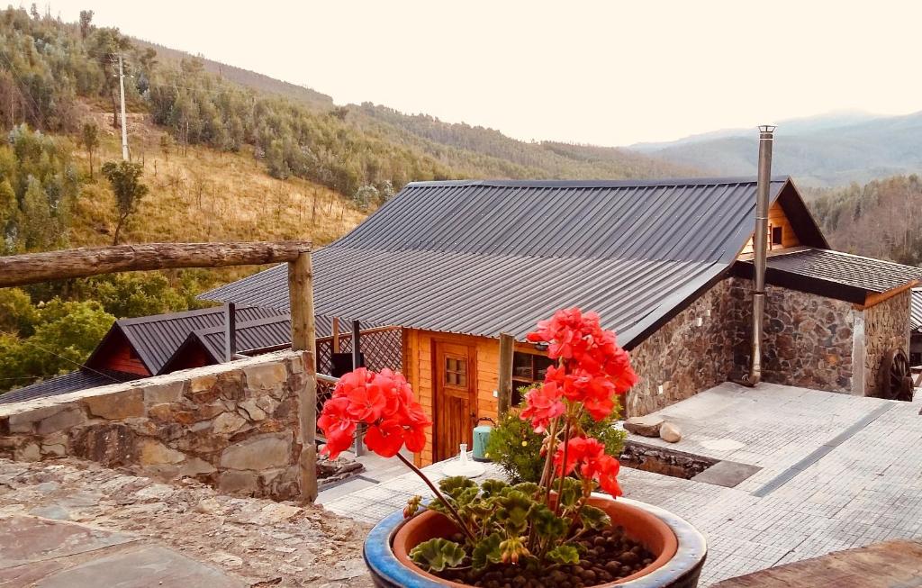 CASA DO OURIÇO