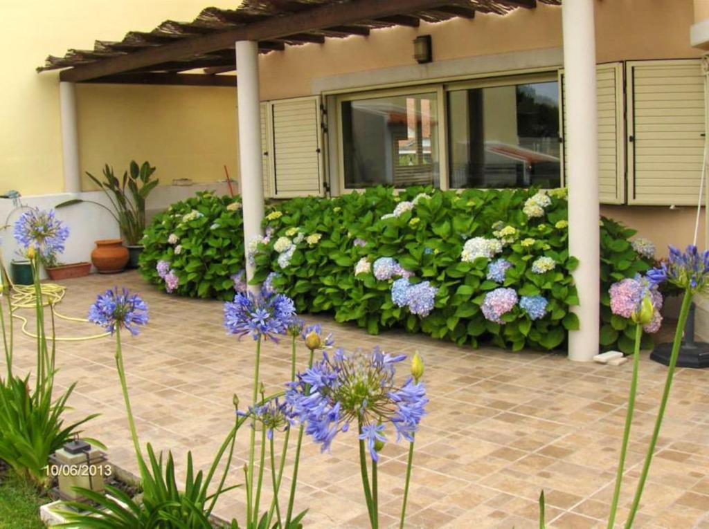 Imagem de "Vila's House"