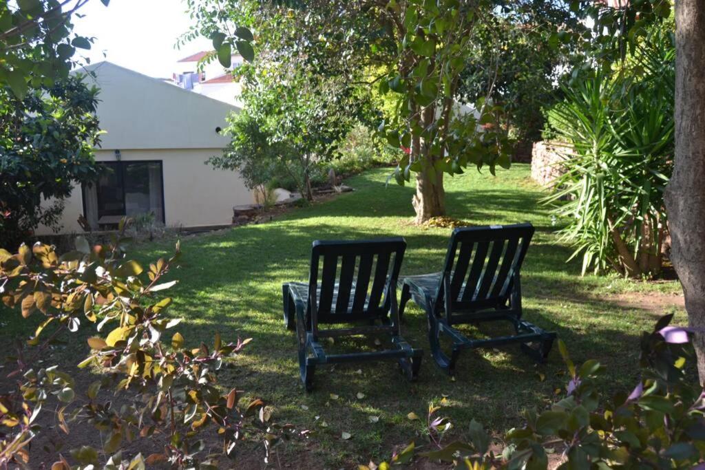 Imagem de JARDIM NA CIDADE