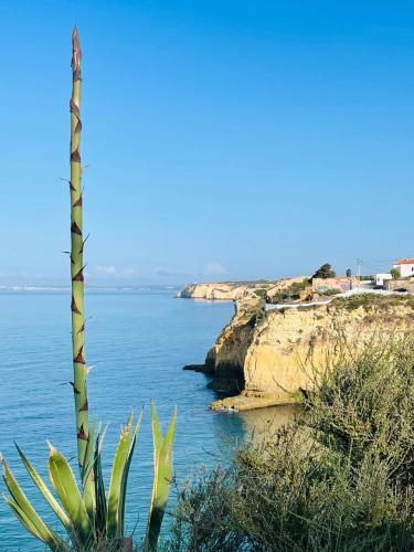 Imagem de Apartamento Villas do Mar