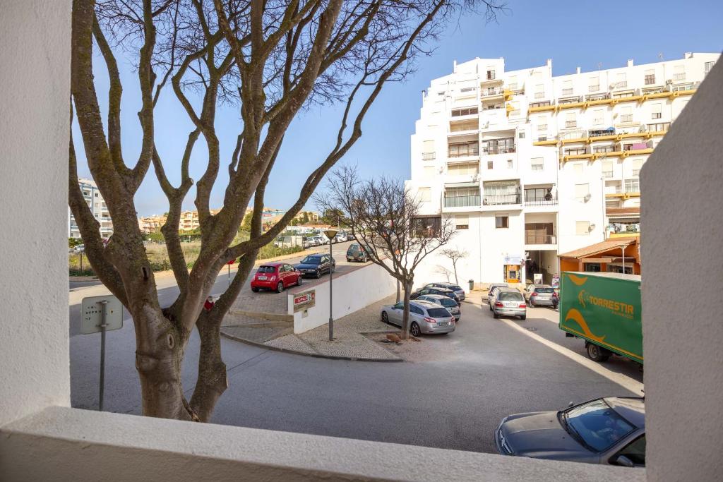 Imagem de Casa Estrela