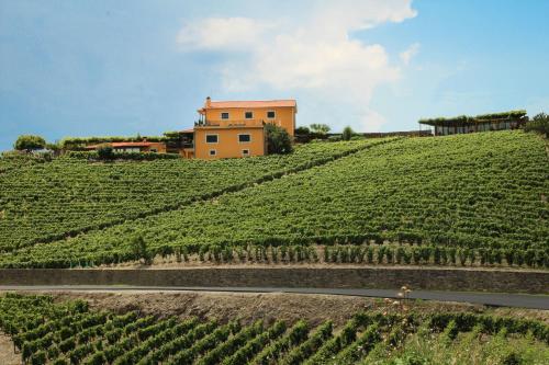Imagem de Villa Seara