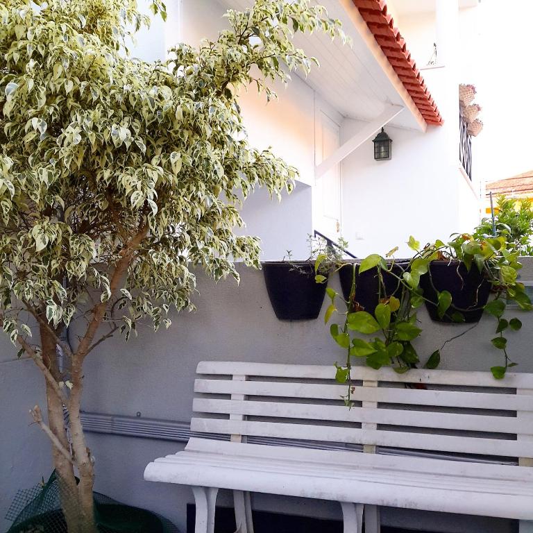 Imagem de Kika Home