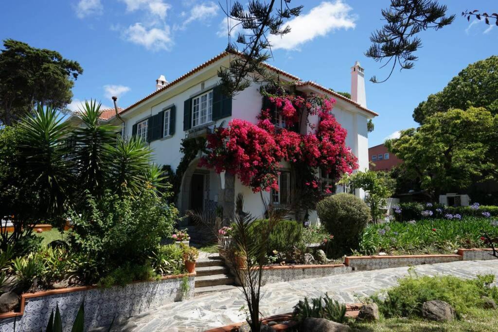 Imagem de Portuguese Garden Villa Near Sea