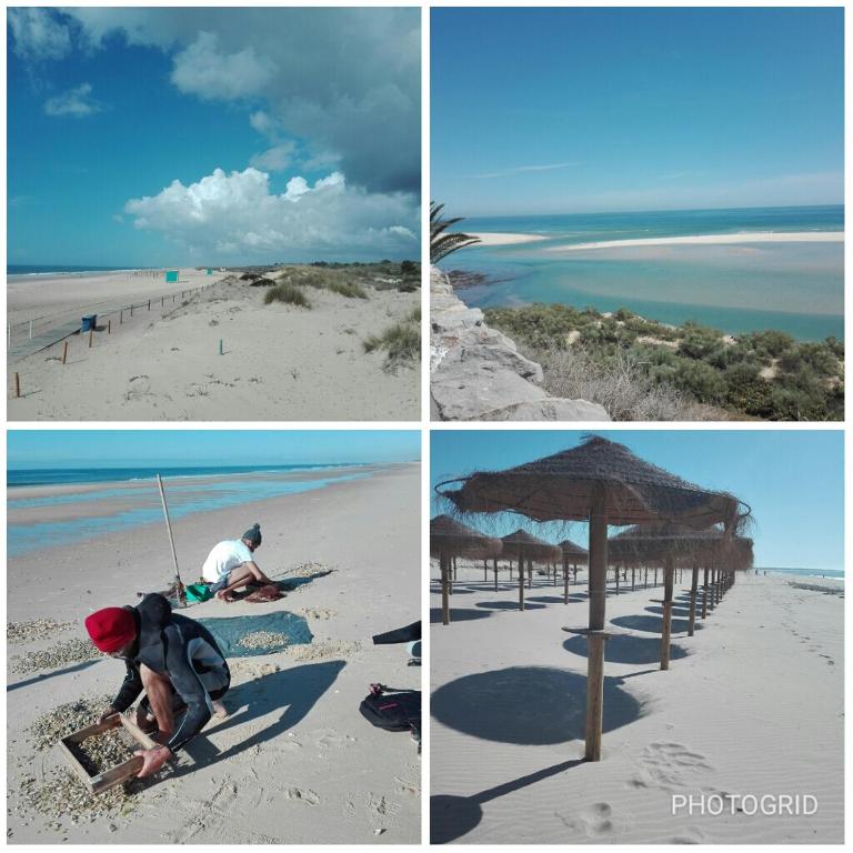 Imagem de Casas da Praia "M"