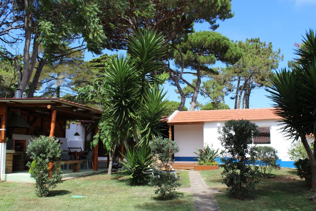 Imagem de Casa do Pinhal