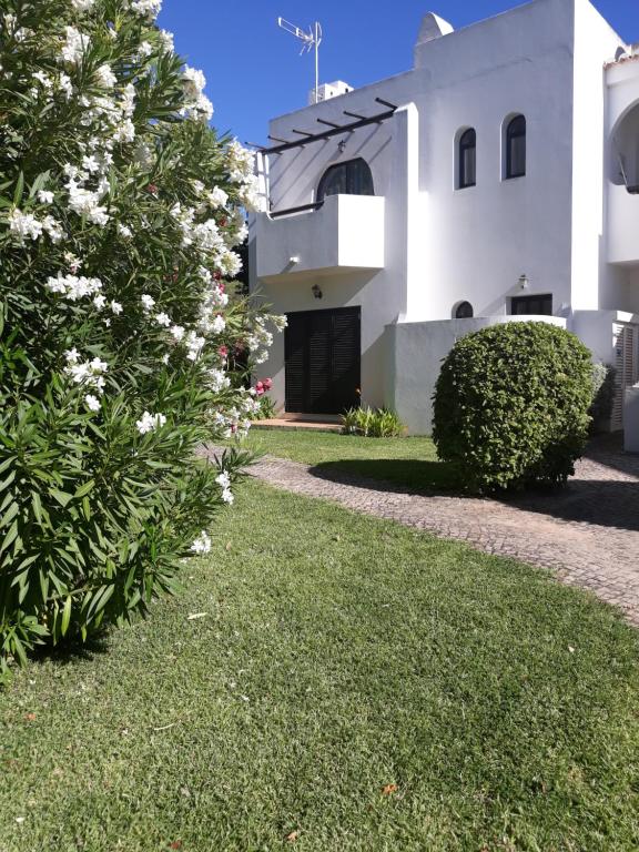 Imagem de V5 Alvor
