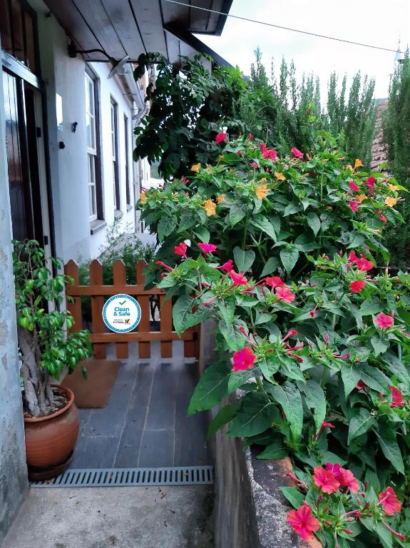 Imagem de Casa do Sr. Falcão