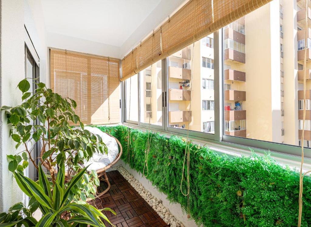 Imagem de Boho Chic Home