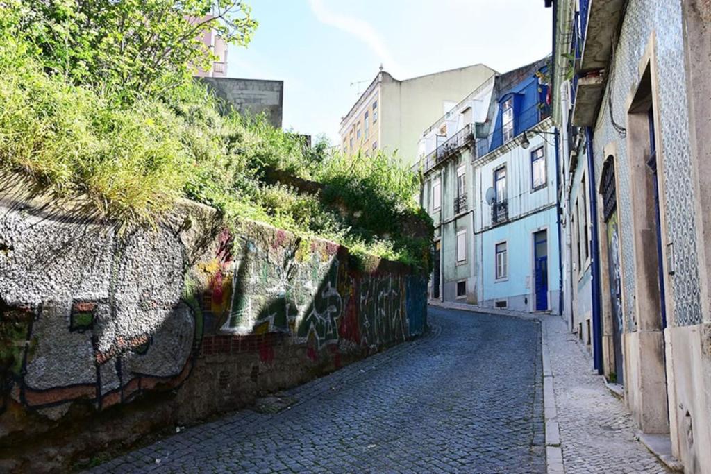 Imagem de Bombarda 5