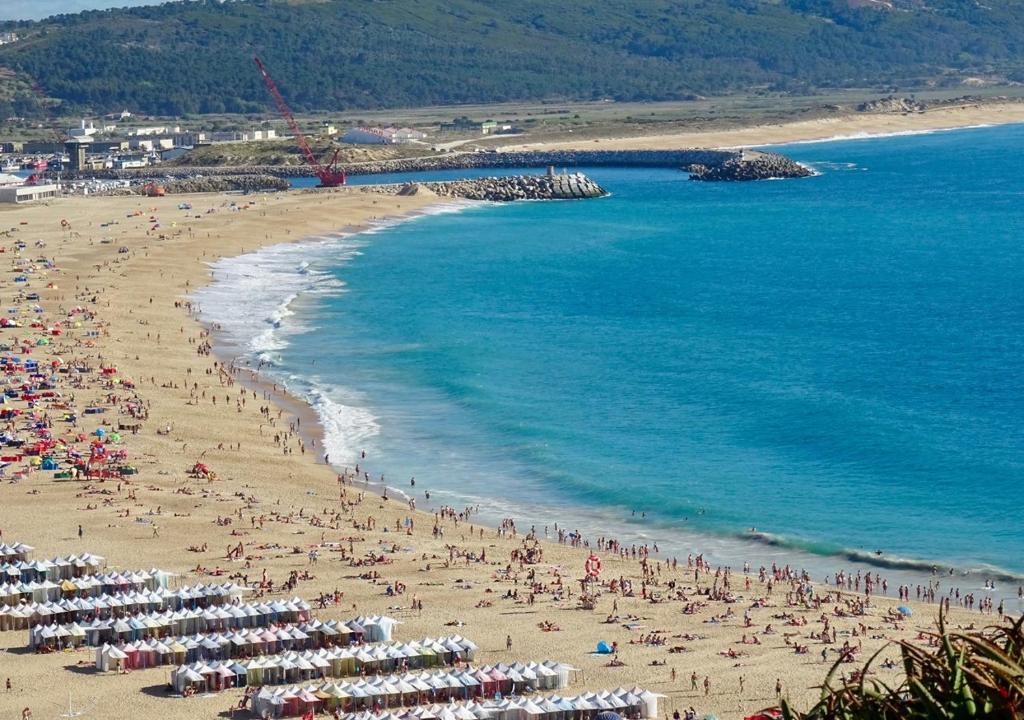 Imagem de Filipa Carvalho