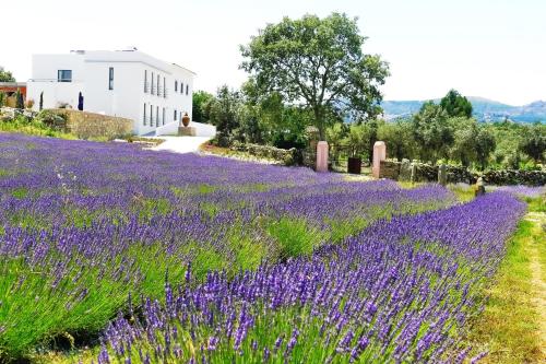 QUINTA DA LAVANDA